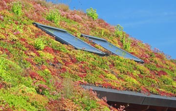 Fatfield living roof systems