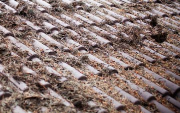 Fatfield roof cleaning companies